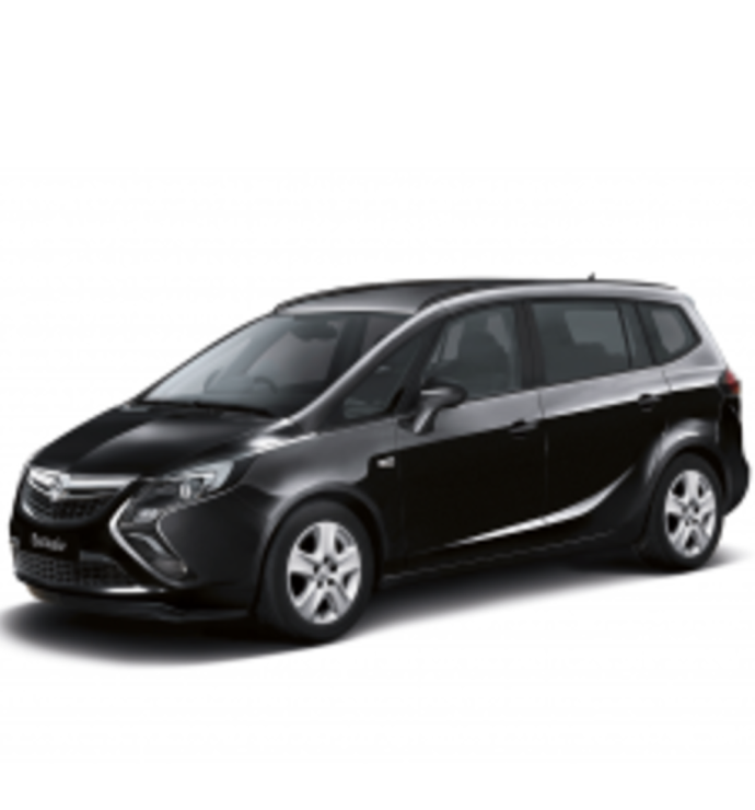 Precision Speed Limiter | Vauxhall / Opel Zafira