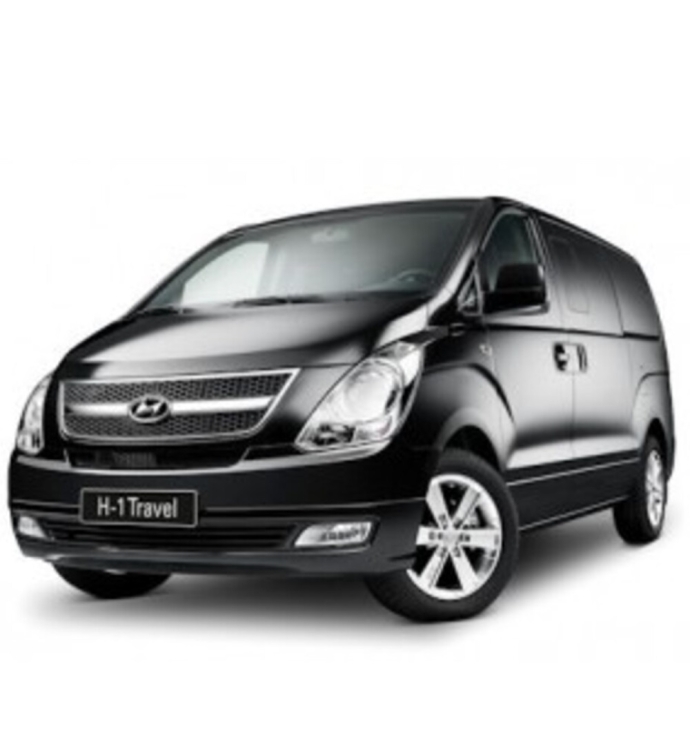 Precision Speed Limiter | Hyundai H-1