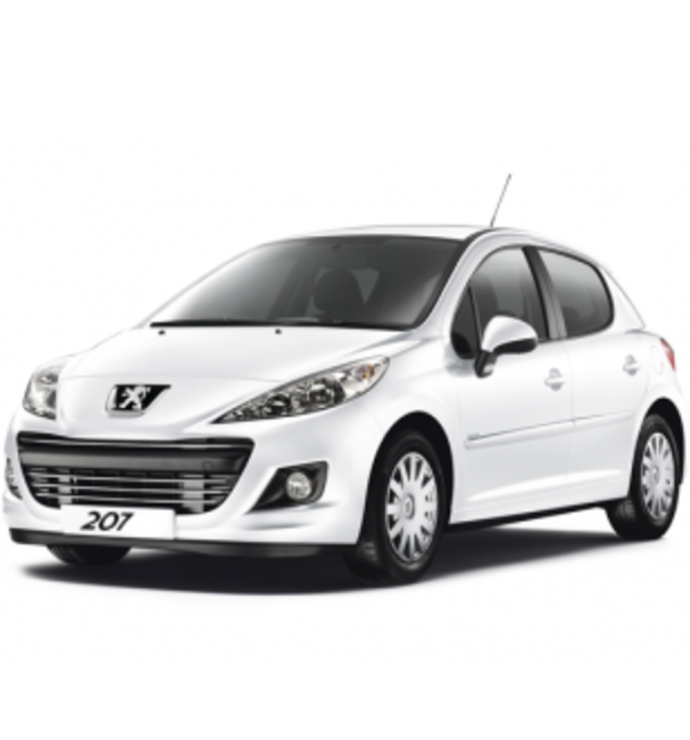 Precision Cruise Control | Peugeot 207 